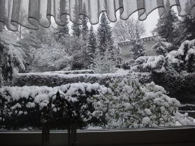 Schnee vor dem Wohnzimmerfenster.jpg